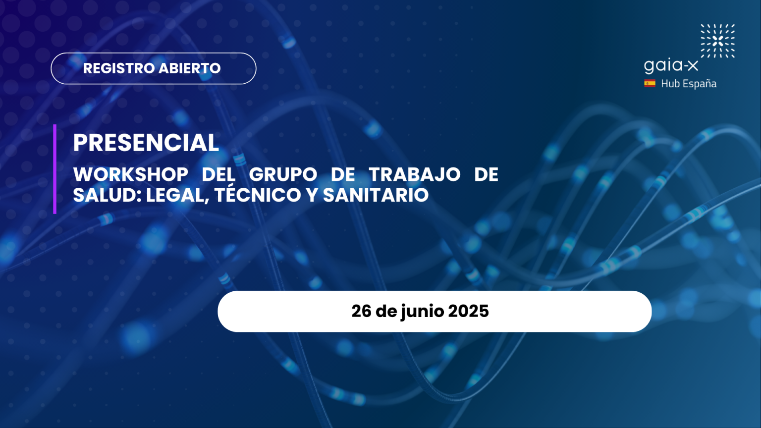 Workshop del Grupo de Trabajo de Salud: Legal, T?cnico y Sanitario (26 de junio de 2025)